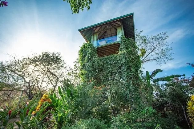 Panoramic Ağaç Ev, Okyanus Manzaralı (Garuda Treehouse)