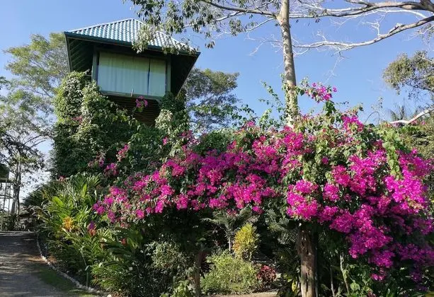 Panoramic Ağaç Ev, Okyanus Manzaralı (Garuda Treehouse)