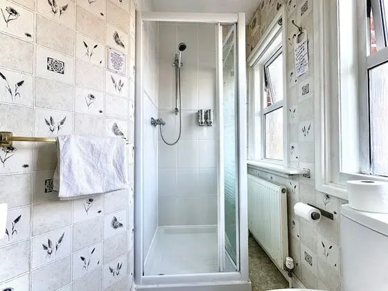 Basic Tek Büyük veya İki Ayrı Yataklı Oda, Özel Banyo, Tepe Manzaralı (Shower room)