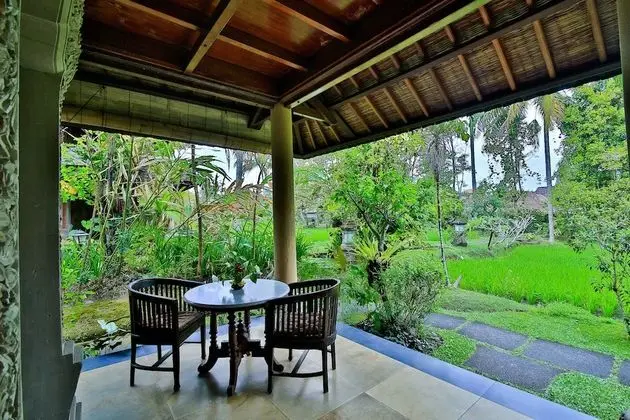 Suite Rice Field View