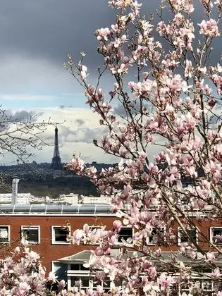 Deluxe Tek Büyük Yataklı Oda, Şehir Manzaralı