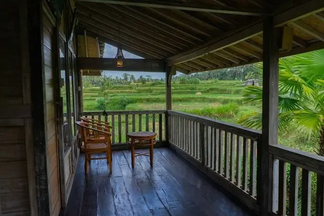 Design Bungalov