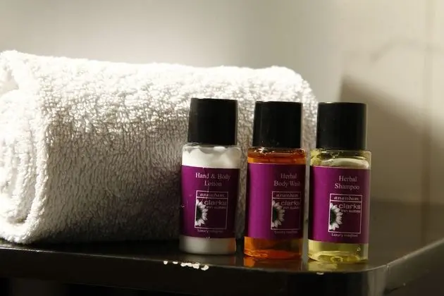 Deluxe Stüdyo, 1 Çift Kişilik Yatak, Sigara İçilmez