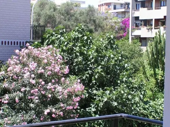 Tek Büyük veya İki Ayrı Yataklı Oda, Balkon