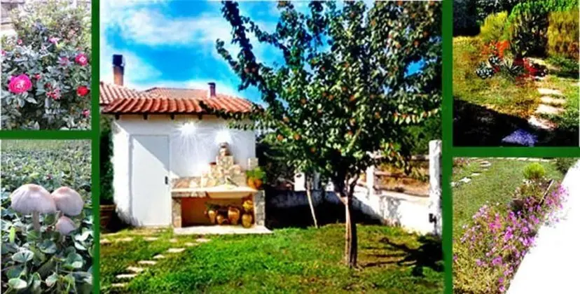 Traditional Villa, 3 Yatak Odası, Engellilere Uygun, Bahçe Manzaralı