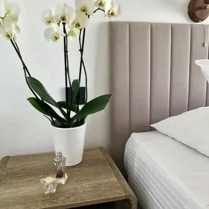 Deluxe Tek Büyük Yataklı Oda, Deniz Manzaralı