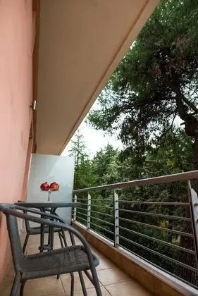 Executive Tek Büyük veya İki Ayrı Yataklı Oda