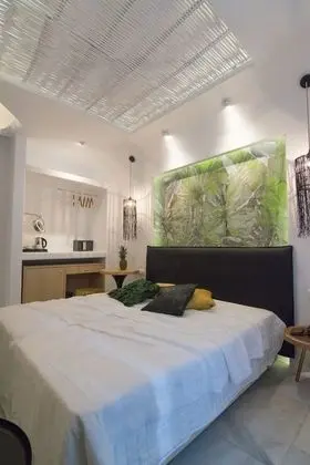 Deluxe Tek Büyük Yataklı Oda, 1 Yatak Odası