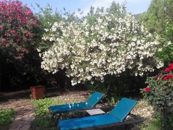 Aile Odası, Bahçe Manzaralı