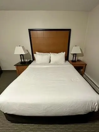 Deluxe Tek Kişilik Oda, 1 En Büyük (King) Boy Yatak
