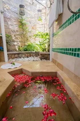 Deluxe Kır Evi
