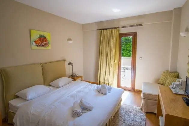 Tek Büyük veya İki Ayrı Yataklı Oda, Dağ Manzaralı
