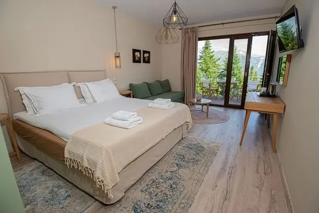 Üç Kişilik Oda, 1 Yatak Odası, Dağ Manzaralı