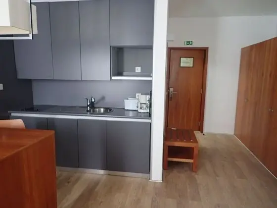 Standard Stüdyo, 1 Yatak Odası, Küçük Mutfak