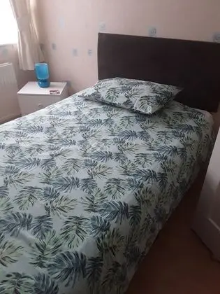 Budget Single Room