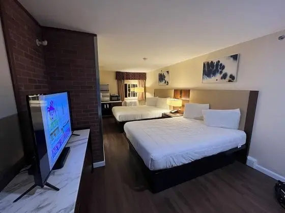 Tek Büyük Yataklı Oda, 2 Çift Kişilik Yatak