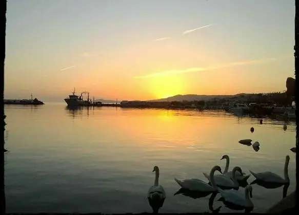 Apart Daire, 2 Yatak Odası, Balkon