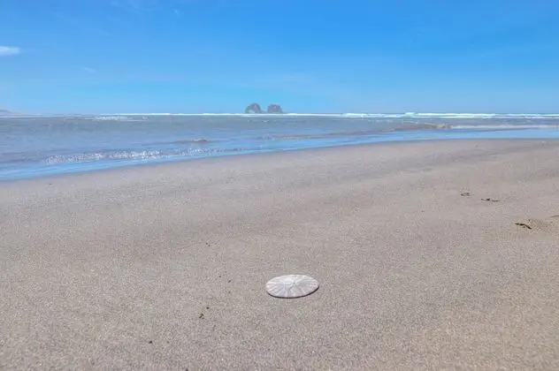 Ev, Birden Çok Yatak (Anchors Aweigh Rockaway)