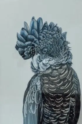 Executive Süit
