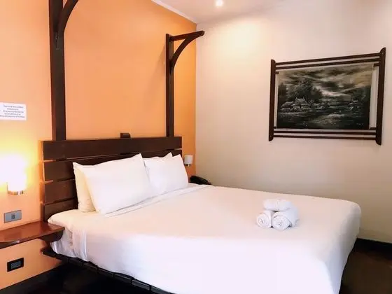 Deluxe Tek Büyük Yataklı Oda
