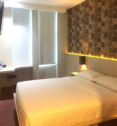 Superior Tek Büyük Yataklı Oda