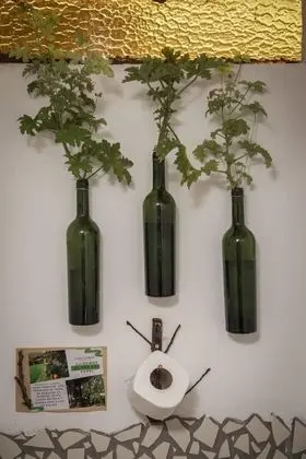 Deluxe Kır Evi