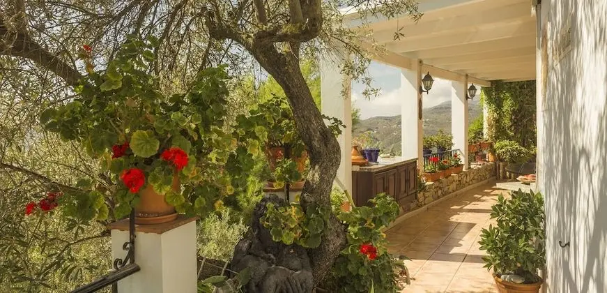 İki Ayrı Yataklı Oda (Orange)