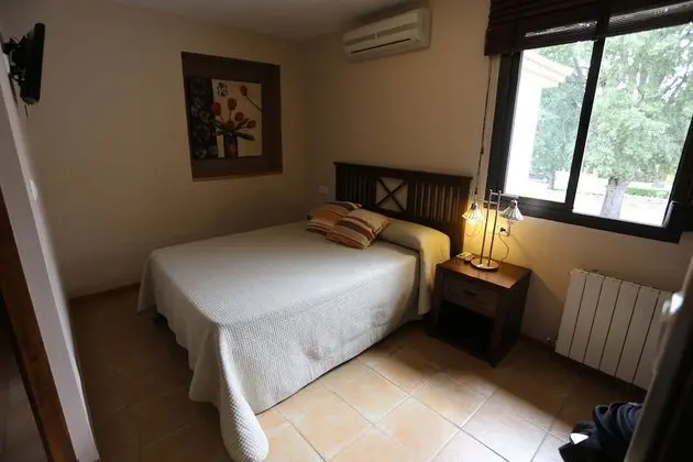 Standard Tek Büyük Yataklı Oda, Şehir Manzaralı