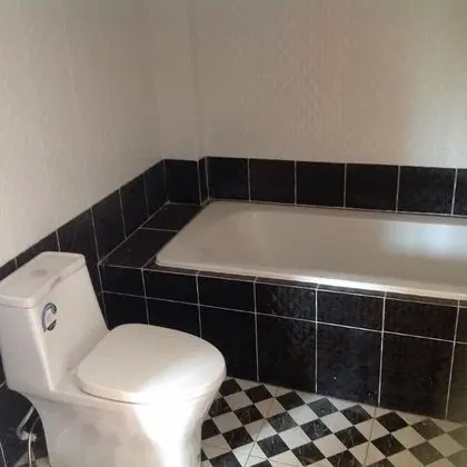 Deluxe Tek Büyük Yataklı Oda, Havuz Kullanımı
