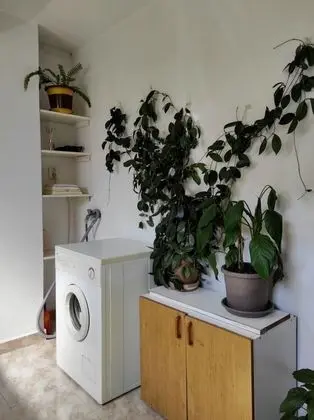 Apart Daire (Andela - comfortable and affordable -)