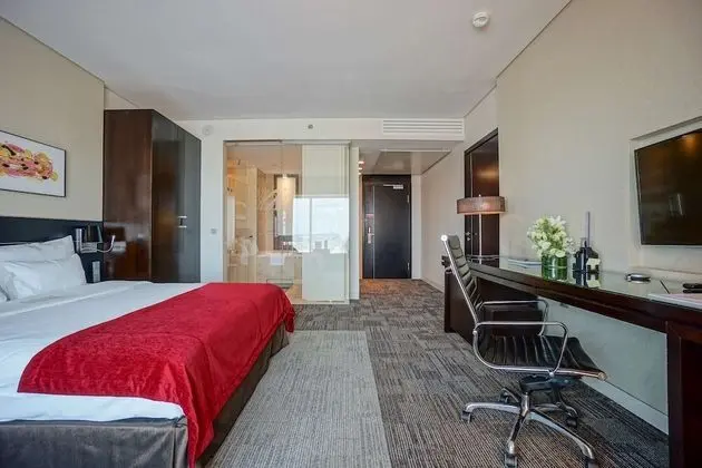 Premium Oda, Sigara İçilmez (Executive)