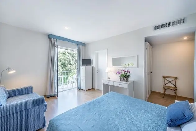 Superior Tek Büyük veya İki Ayrı Yataklı Oda