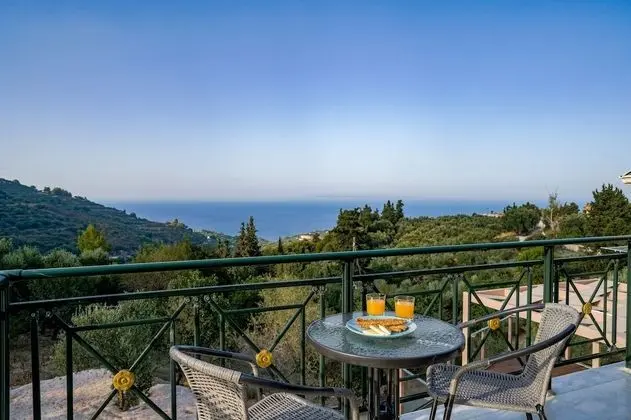 Luxury Villa