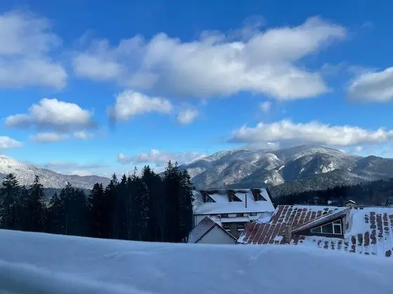 Panoramic Apart Daire, 2 Yatak Odası