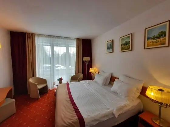 Panoramic Tek Büyük Yataklı Oda