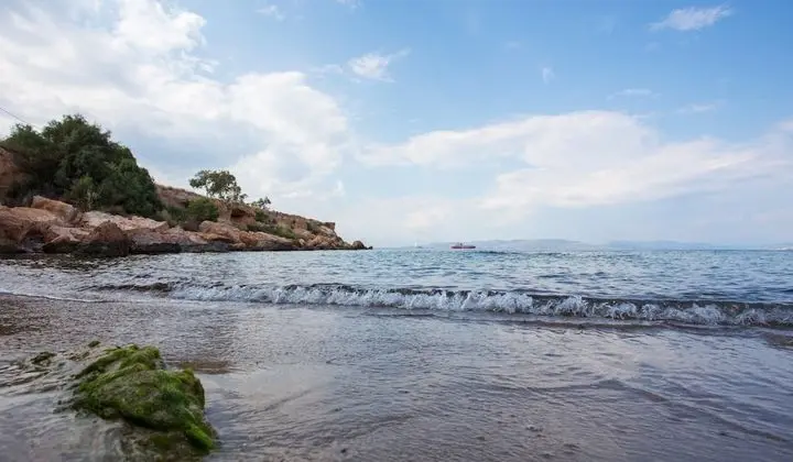 Villa, Engellilere Uygun