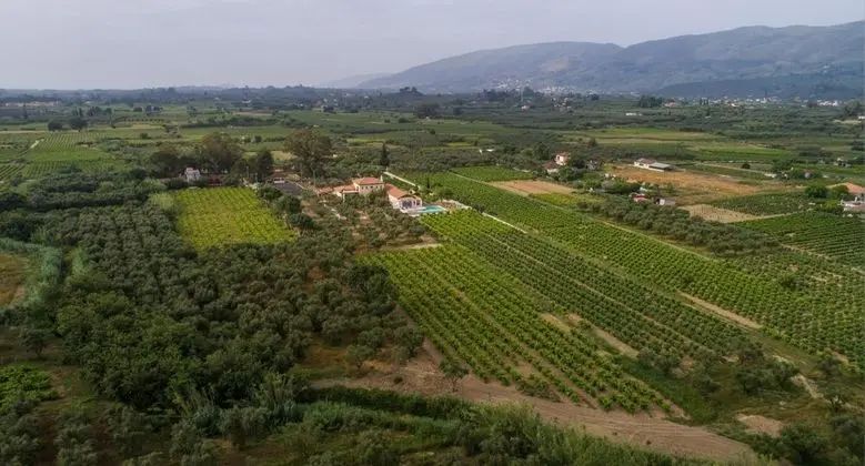 Villa, Engellilere Uygun