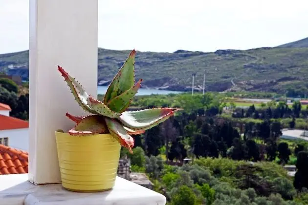 Deluxe Stüdyo Süit, 1 En Büyük (King) Boy Yatak, Balkon, Kısmi Deniz Manzaralı