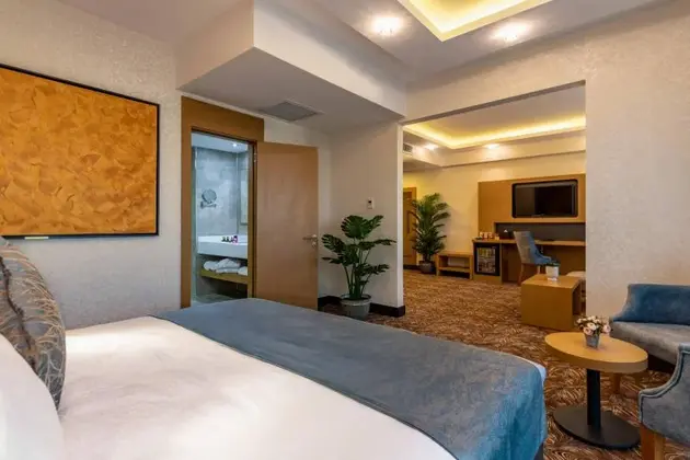 Junior Suite Oda