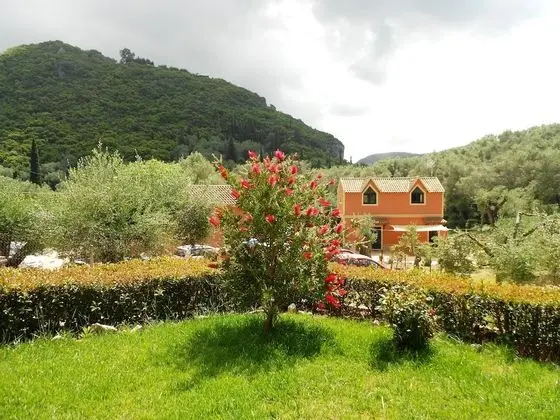 Stüdyo, Zemin Kat