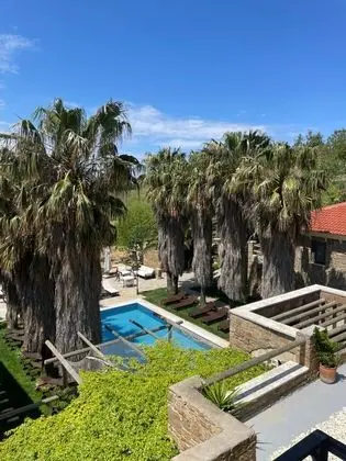 Standart Oda, Şehir Manzaralı