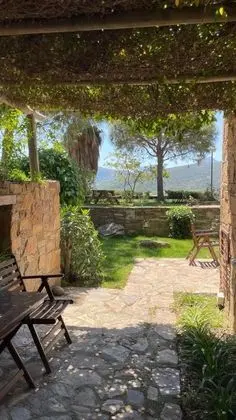 Standart Oda, Şehir Manzaralı