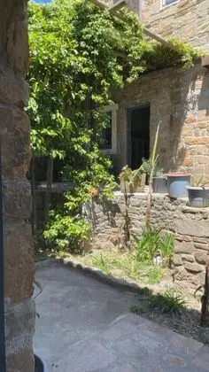 Standart Oda, Şehir Manzaralı