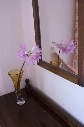 Tek Büyük Yataklı Oda, Deniz Manzaralı