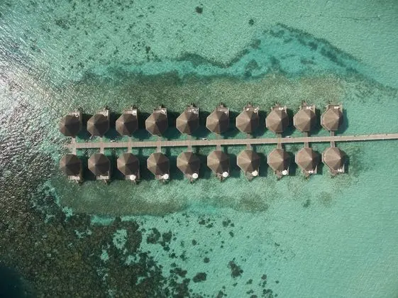 Superior Bungalov, Deniz Üstü
