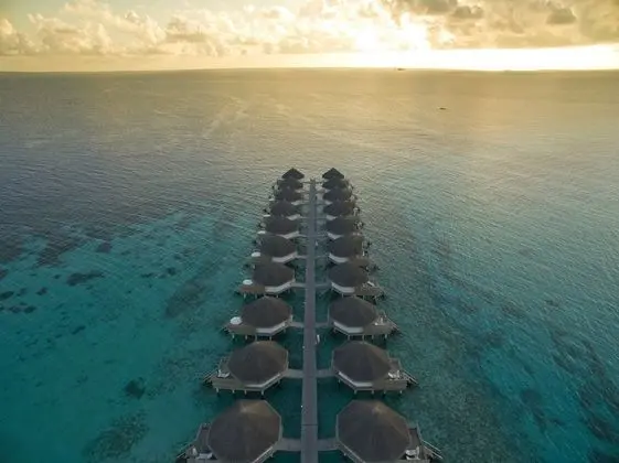 Superior Bungalov, Deniz Üstü