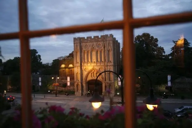 Ivy View Room