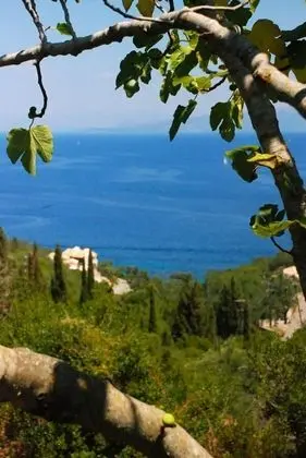 Stüdyo, Balkon, Deniz Manzaralı