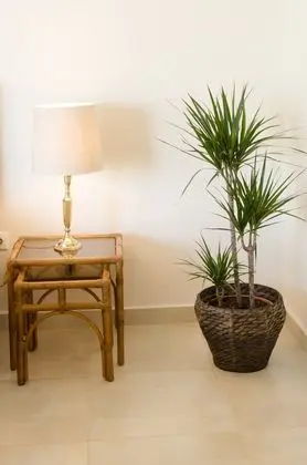 Luxury Bungalov, 2 Yatak Odası (Olivetree)