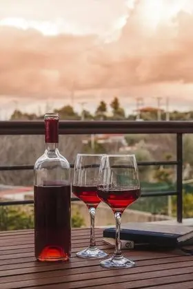 Standard Stüdyo Süit, 1 Çift Kişilik Yatak, Balkon/Veranda, Üzüm Asması Manzaralı